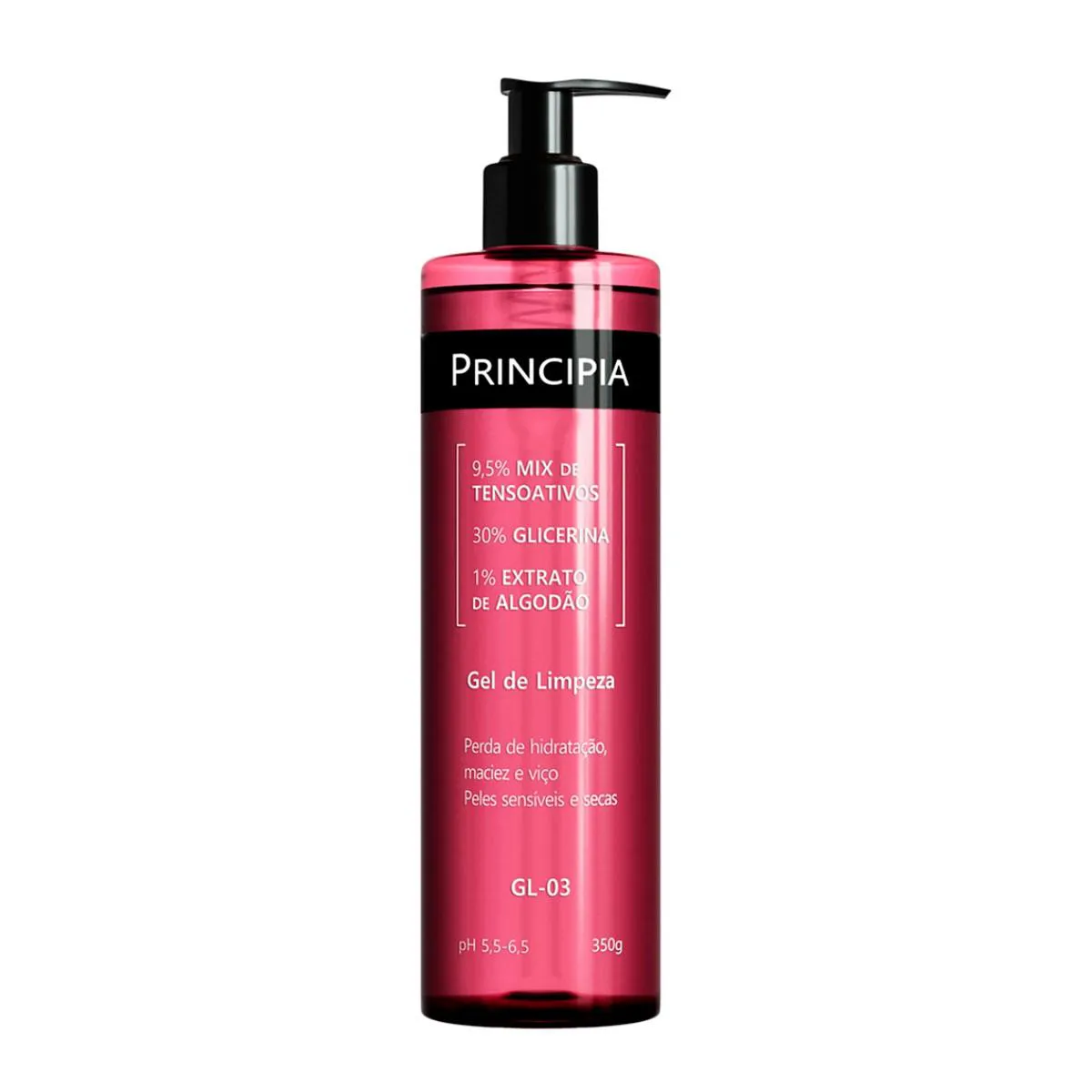 GEL DE LIMPEZA PRINCIPIA GL-03 350ML